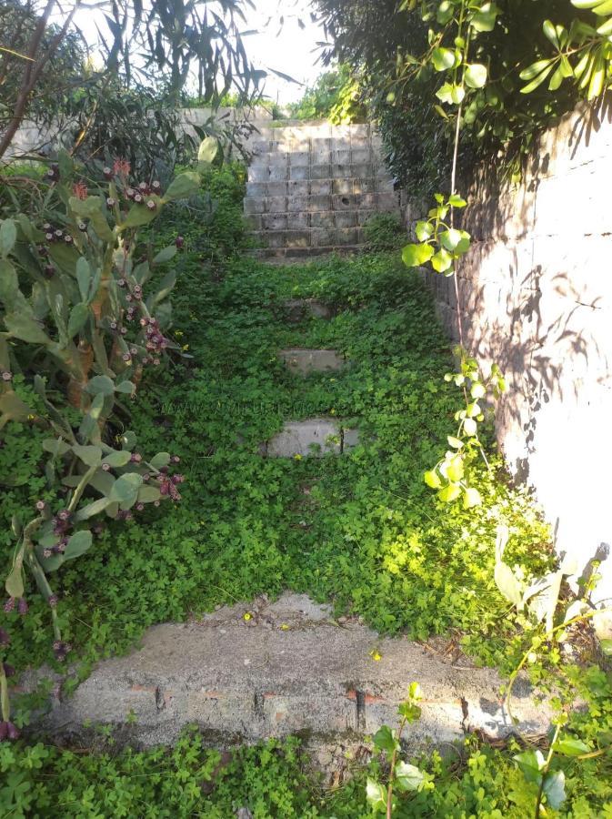 Appartamento Con Giardino Torre Dei Corsari Torre dei Corsari Exterior foto